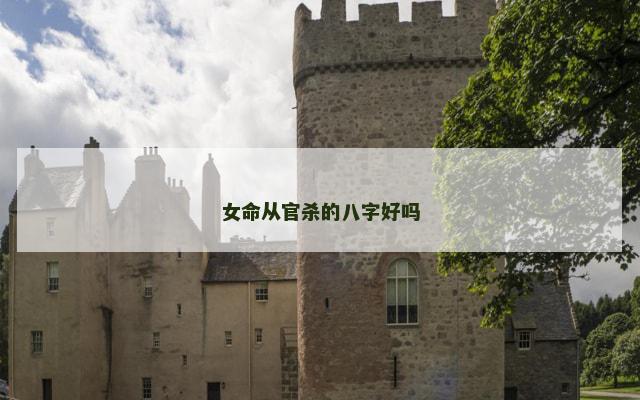 女命从官杀的八字好吗
