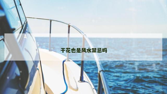 干花也是风水禁忌吗