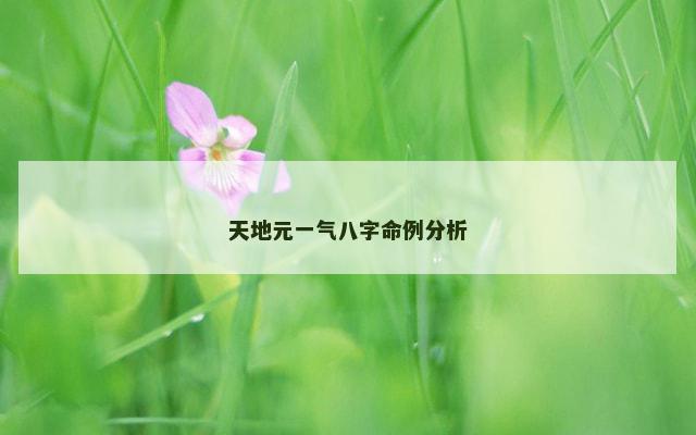 天地元一气八字命例分析