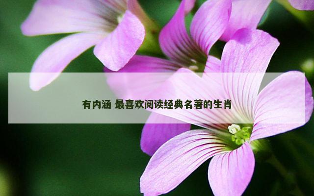 有内涵 最喜欢阅读经典名著的生肖