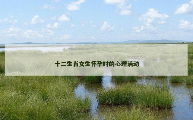 十二生肖女生怀孕时的心理活动