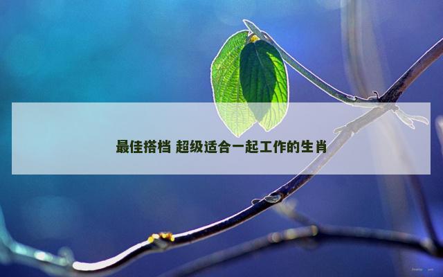 最佳搭档 超级适合一起工作的生肖