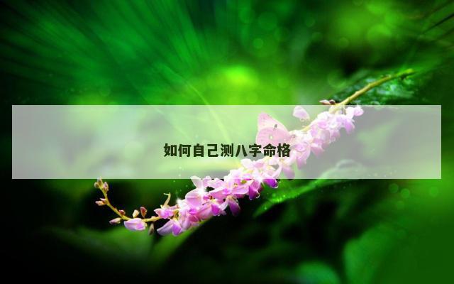 如何自己测八字命格