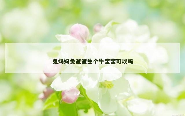 兔妈妈兔爸爸生个牛宝宝可以吗