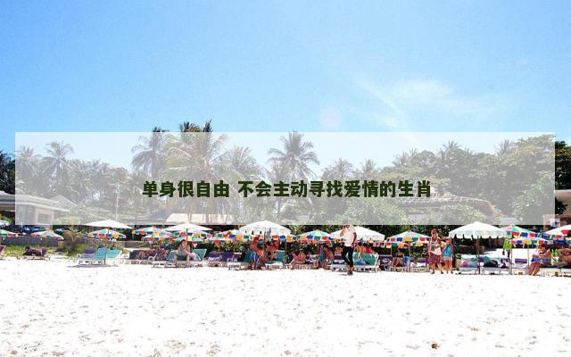 单身很自由 不会主动寻找爱情的生肖