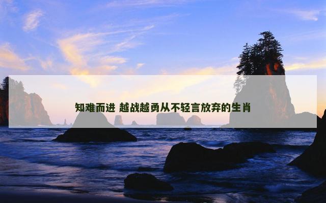 知难而进 越战越勇从不轻言放弃的生肖