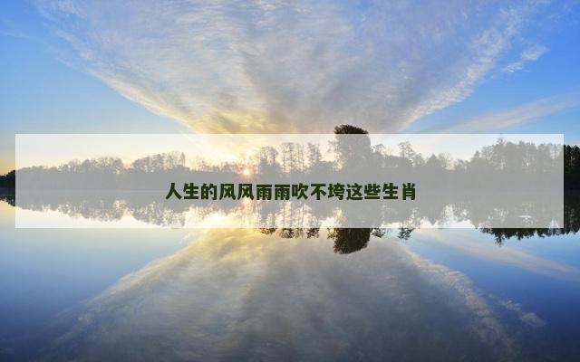 人生的风风雨雨吹不垮这些生肖