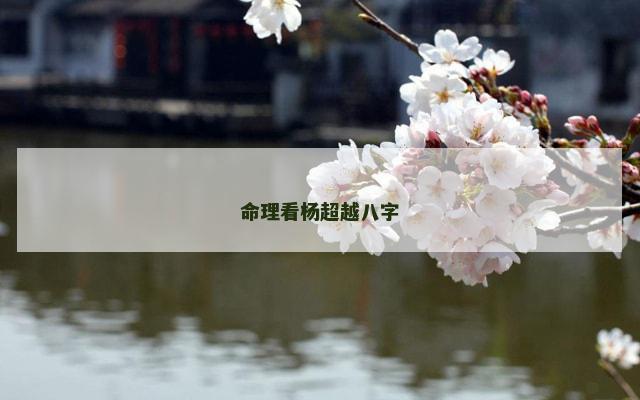 命理看杨超越八字