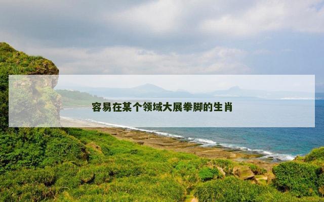 容易在某个领域大展拳脚的生肖
