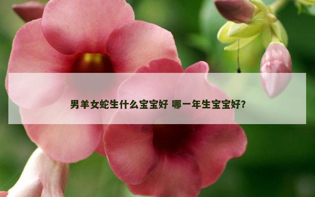 男羊女蛇生什么宝宝好 哪一年生宝宝好？