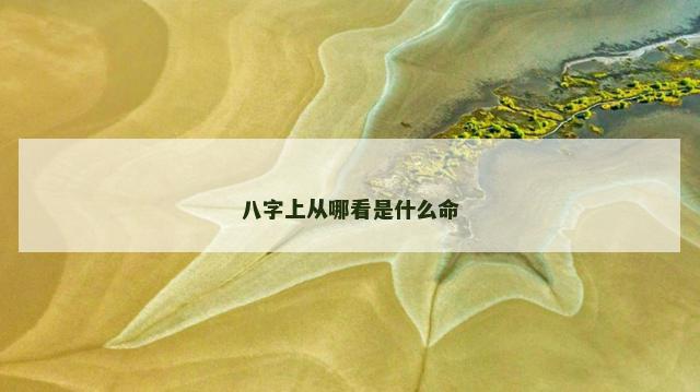 八字上从哪看是什么命