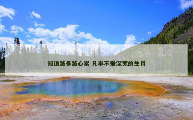 知道越多越心累 凡事不爱深究的生肖