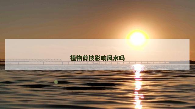 植物剪枝影响风水吗