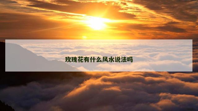 玫瑰花有什么风水说法吗