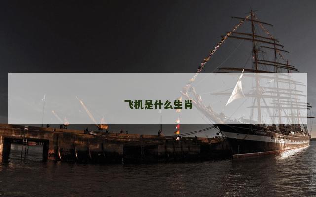 飞机是什么生肖