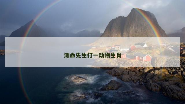测命先生打一动物生肖