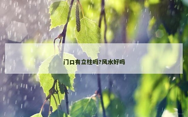 门口有立柱吗?风水好吗