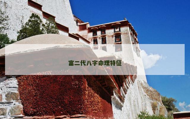 富二代八字命理特征