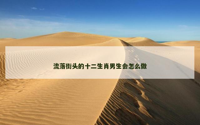 流落街头的十二生肖男生会怎么做