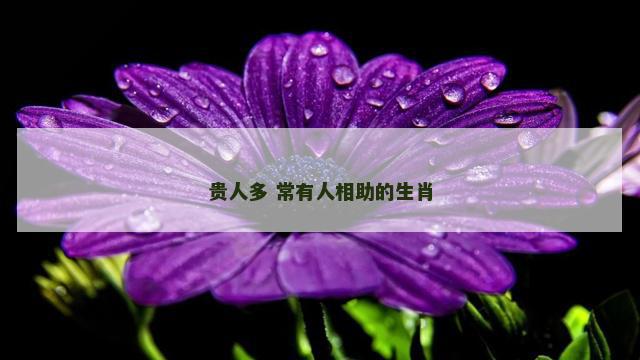 贵人多 常有人相助的生肖