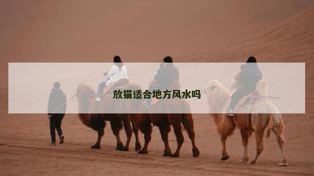 放猫适合地方风水吗
