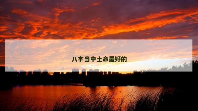 八字当中土命最好的