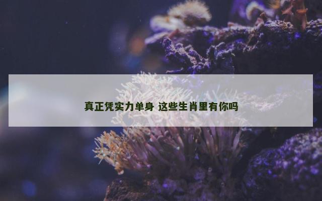真正凭实力单身 这些生肖里有你吗