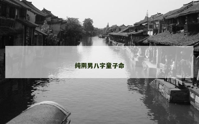 纯阴男八字童子命