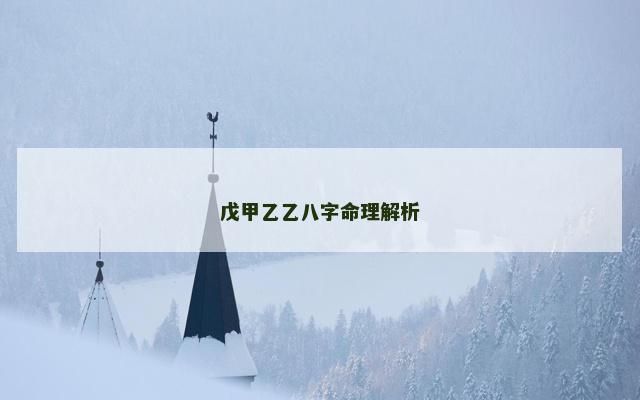 戊甲乙乙八字命理解析