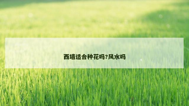 西墙适合种花吗?风水吗