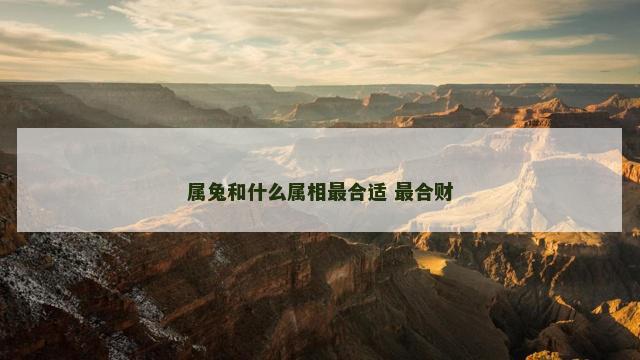 属兔和什么属相最合适 最合财
