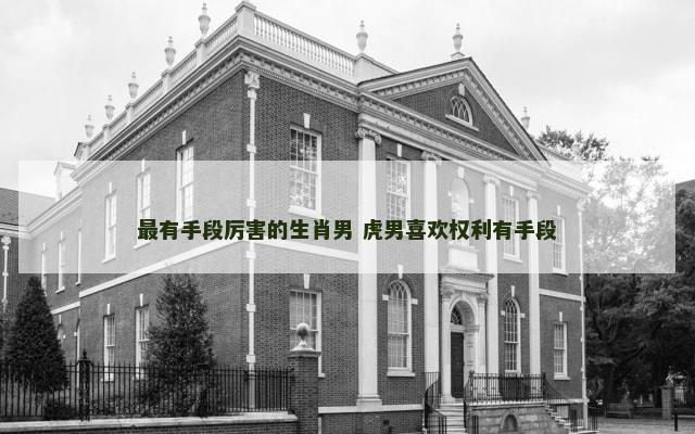 最有手段厉害的生肖男 虎男喜欢权利有手段