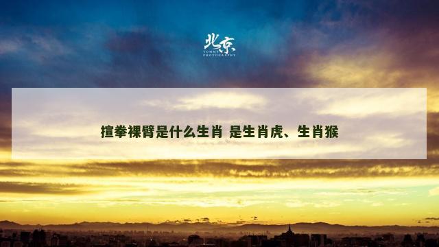 揎拳裸臂是什么生肖 是生肖虎、生肖猴