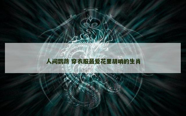 人间鹦鹉 穿衣服最爱花里胡哨的生肖