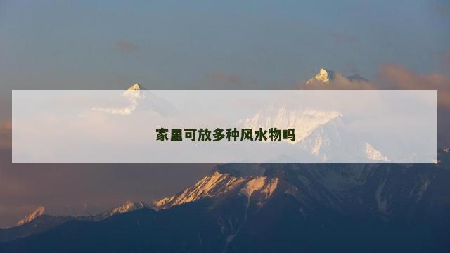 家里可放多种风水物吗