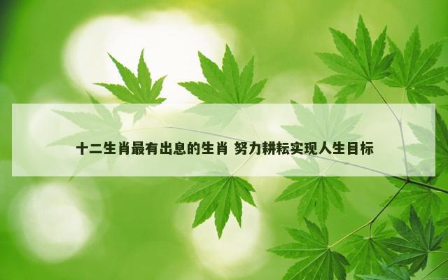 十二生肖最有出息的生肖 努力耕耘实现人生目标