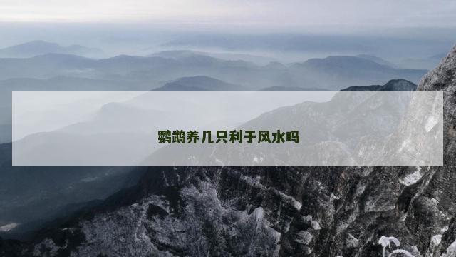 鹦鹉养几只利于风水吗