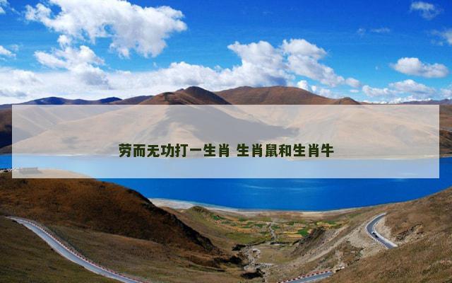 劳而无功打一生肖 生肖鼠和生肖牛