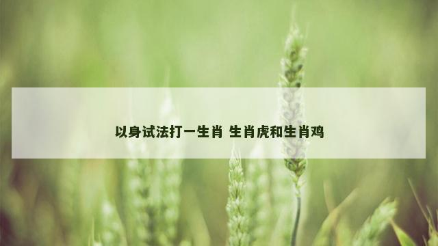 以身试法打一生肖 生肖虎和生肖鸡