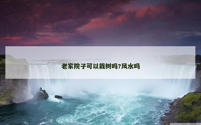 老家院子可以栽树吗?风水吗