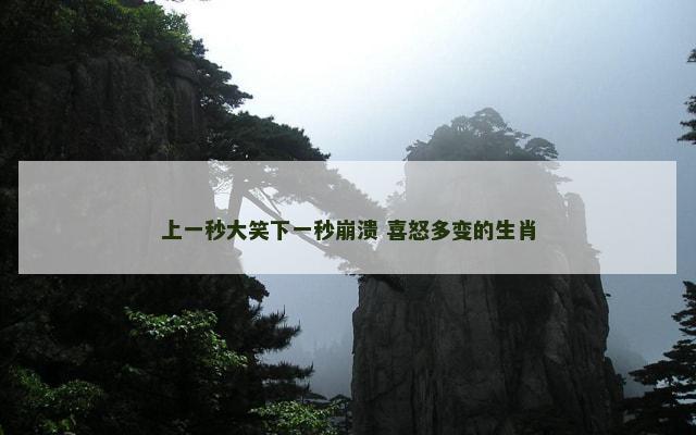 上一秒大笑下一秒崩溃 喜怒多变的生肖