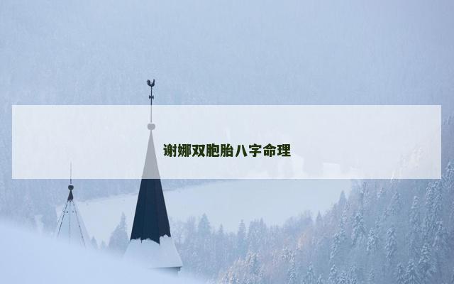 谢娜双胞胎八字命理