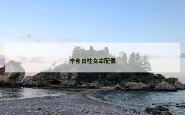 辛卯日柱女命配偶