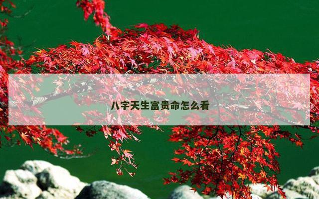 八字天生富贵命怎么看