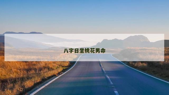 八字日坐桃花男命