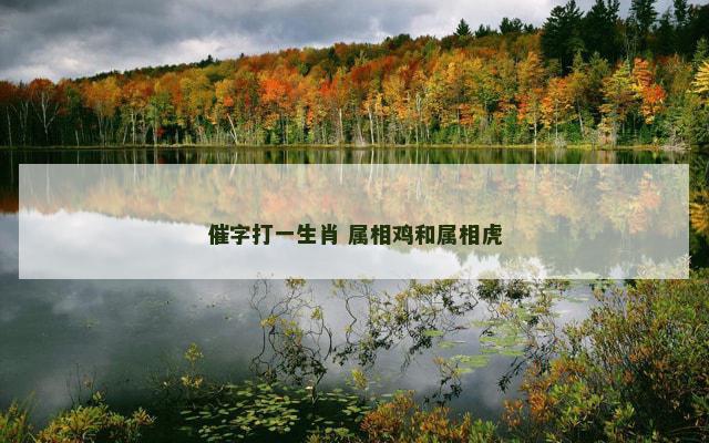催字打一生肖 属相鸡和属相虎