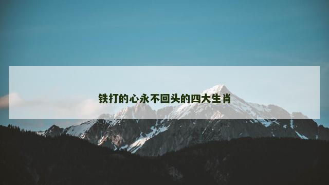 铁打的心永不回头的四大生肖