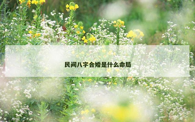 民间八字合婚是什么命局