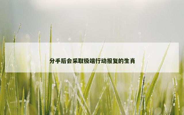 分手后会采取极端行动报复的生肖