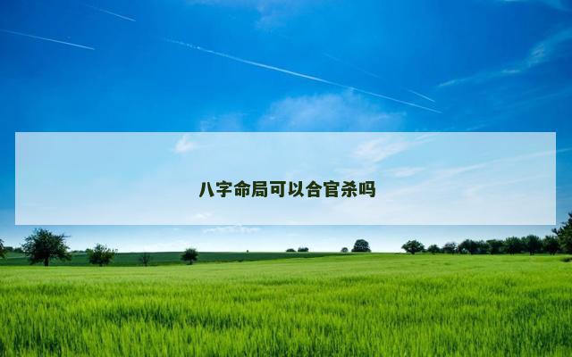 八字命局可以合官杀吗